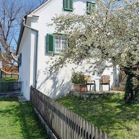 Ferienhaus Im Thermenland Ilz Ngoại thất bức ảnh