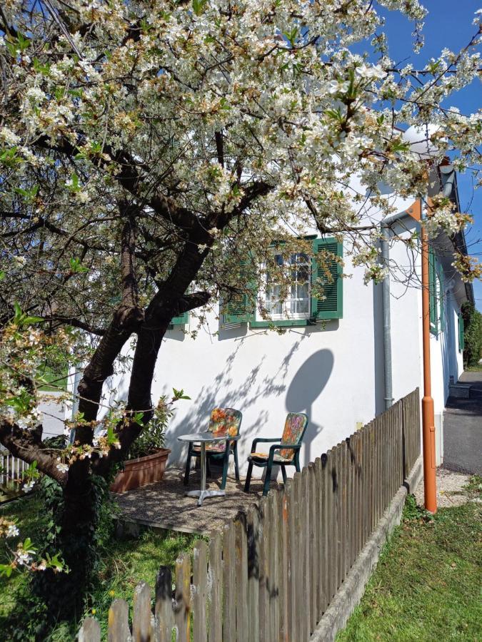 Ferienhaus Im Thermenland Ilz Ngoại thất bức ảnh